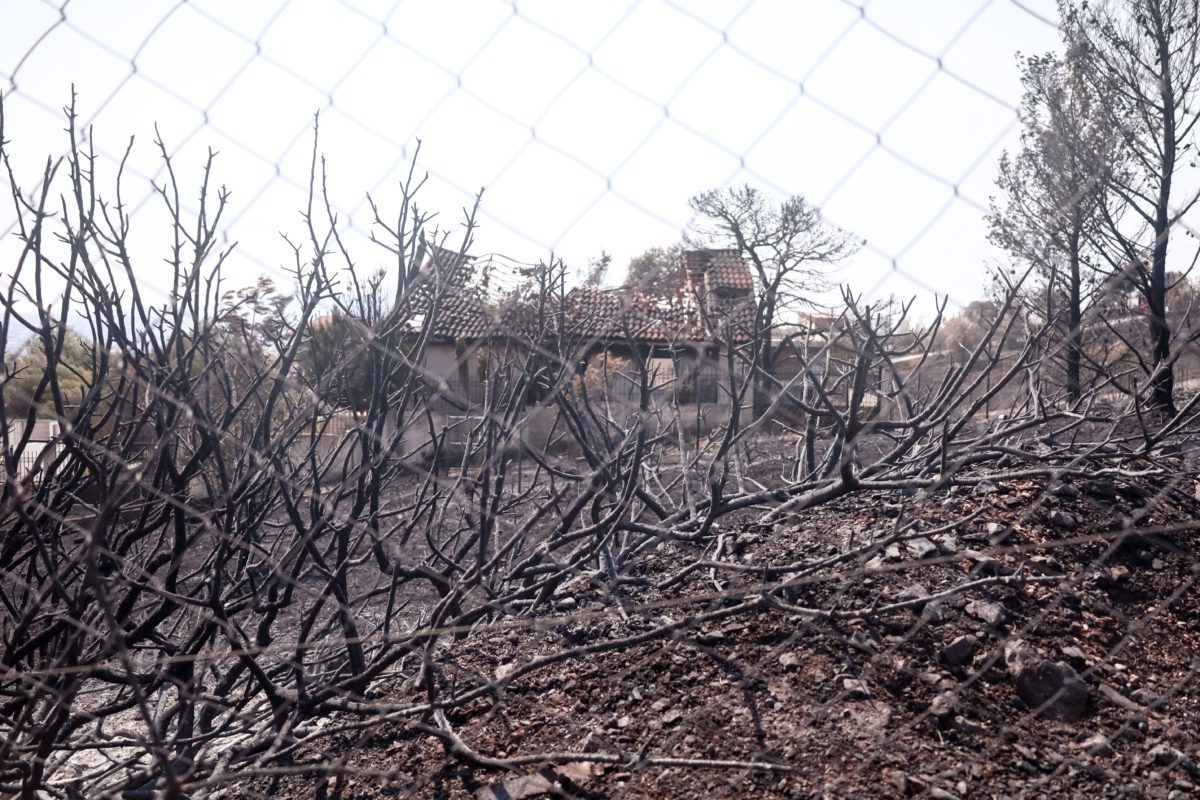 Il governo Mitsotakis è nel panico – Adesso mette in dubbio anche l’immagine satellitare della zona bruciata
